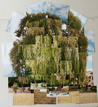 L'arbre